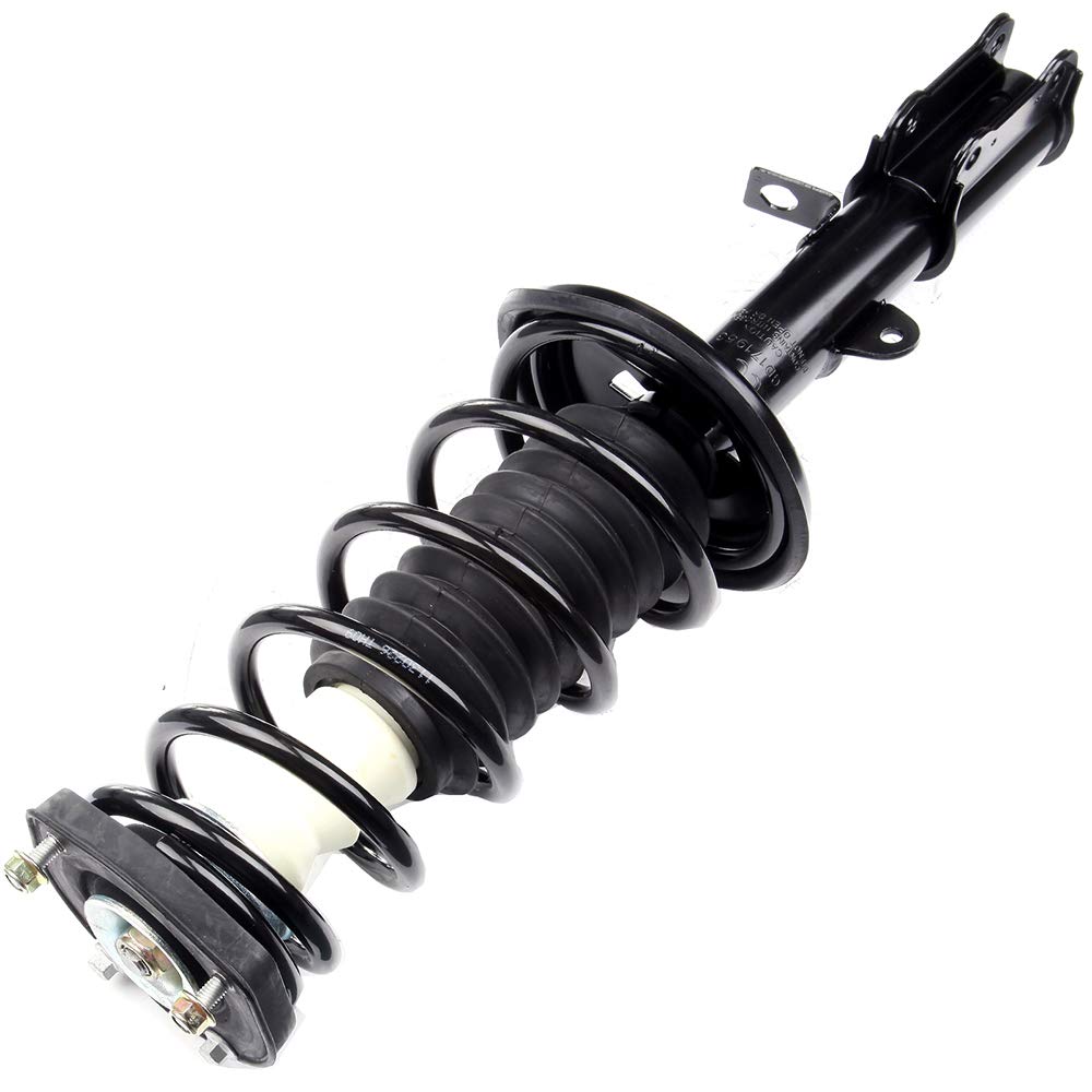 Amazon.com: ECCPP Rear Strut Assembly Shock Absorber 171954 171953